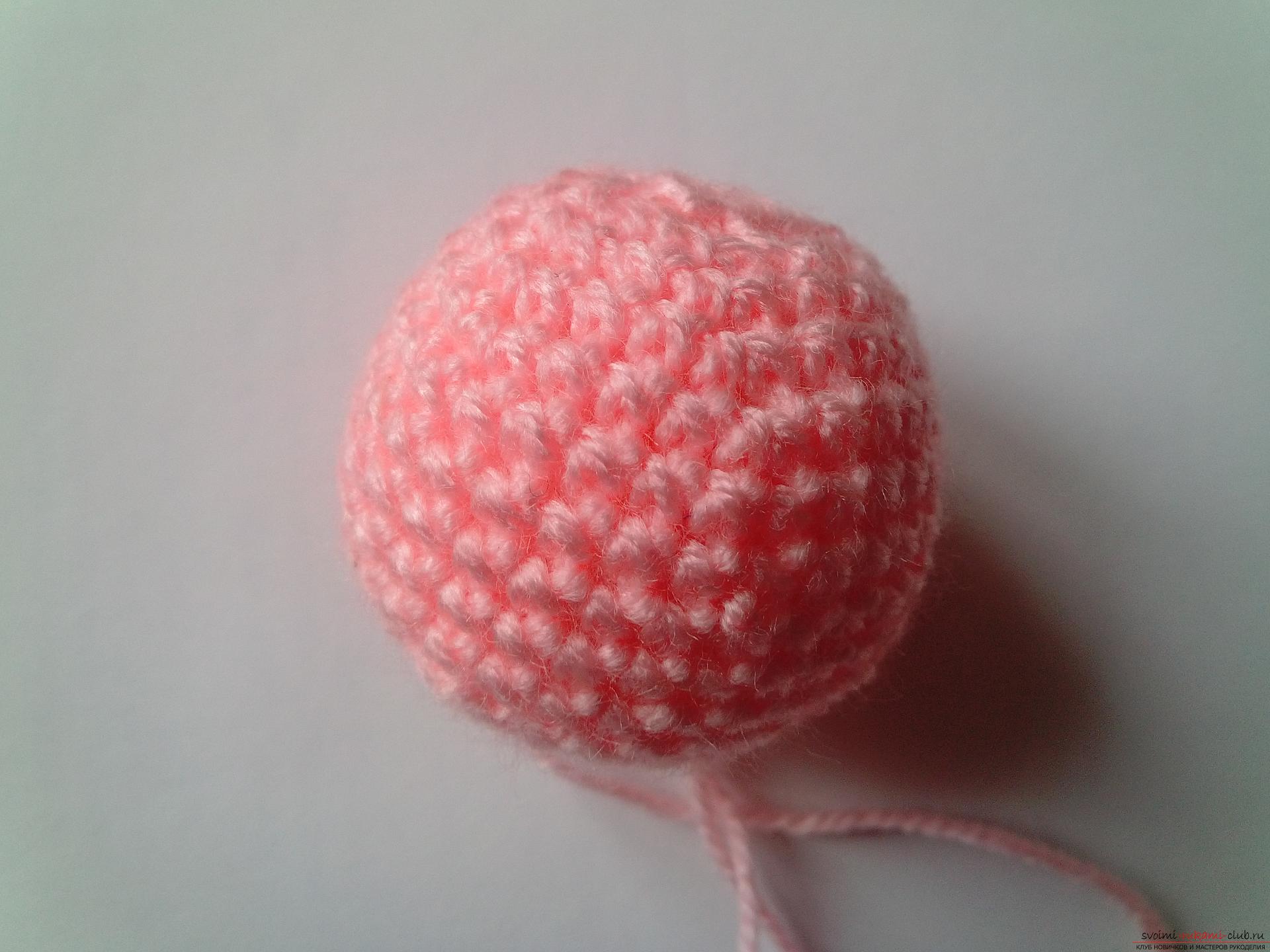 A master class with a photo and a step-by-step description will teach how to tie an amigurumi crochet toy. Photo # 2