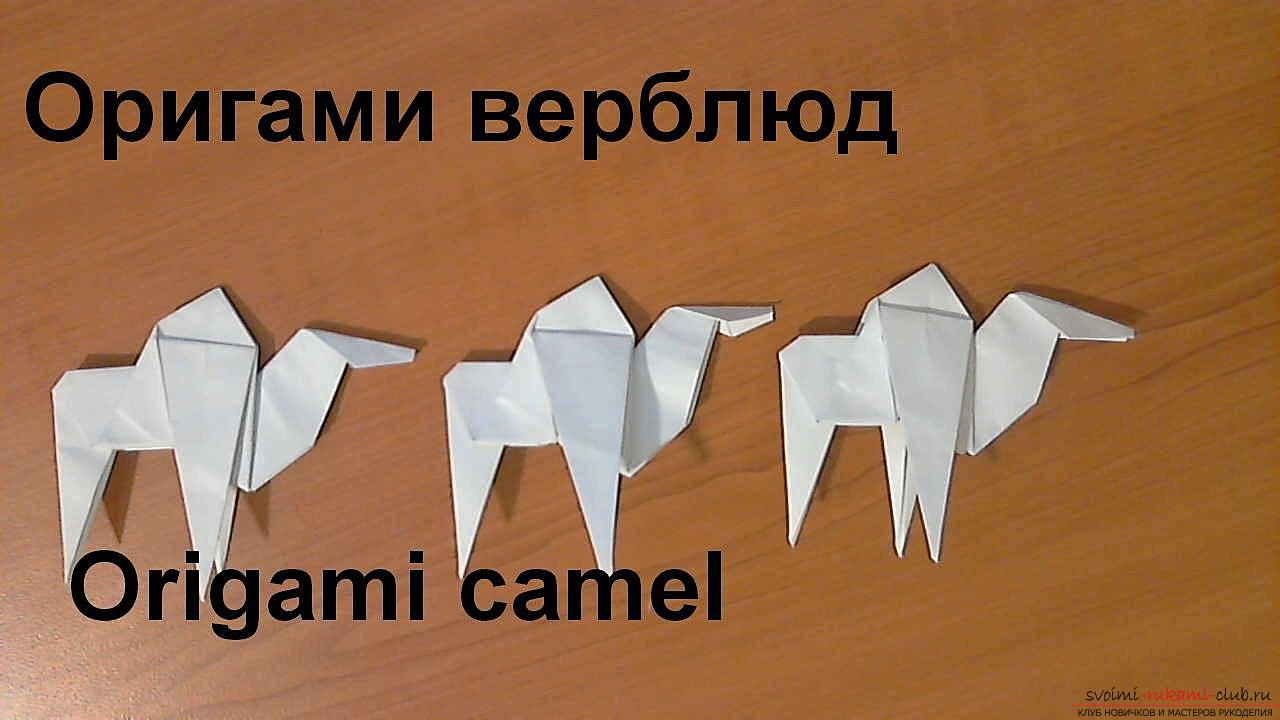 A simple model of a camel origami. Photo №1