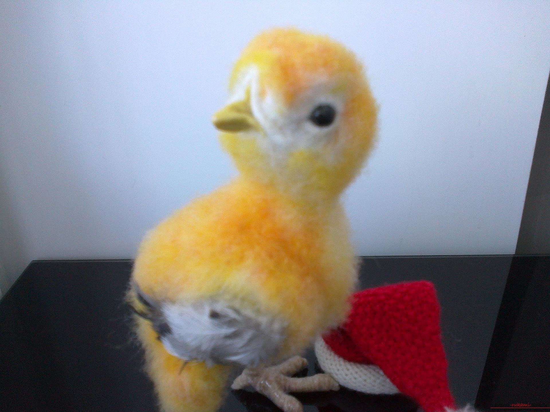 Description of the toy in the form of a chicken, made in the technique of dry felting. Photo №5