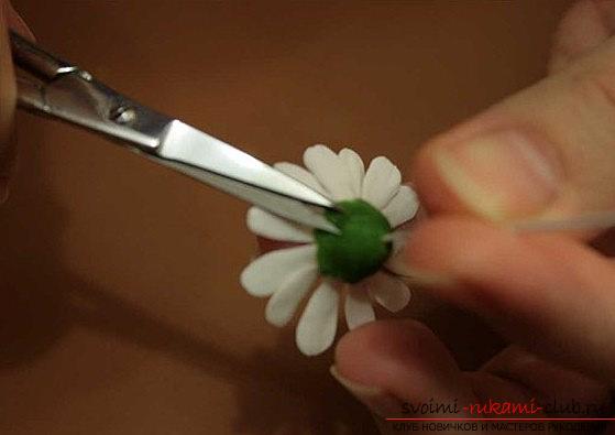We make a daisy flower with the help of polymer clay - a master class for a beginner. Photo №8