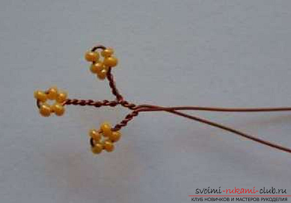 Acacia made from beads. Photo # 2