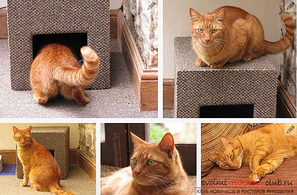 house for the cat with their own hands according to the master class. Photo №1