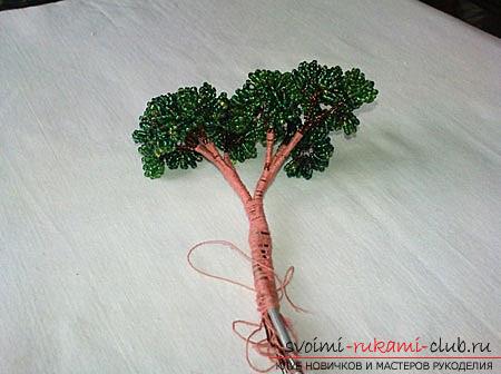 Hoe maak je een bonsai van kralen met je eigen handen met turn-based foto's. Foto nummer 9