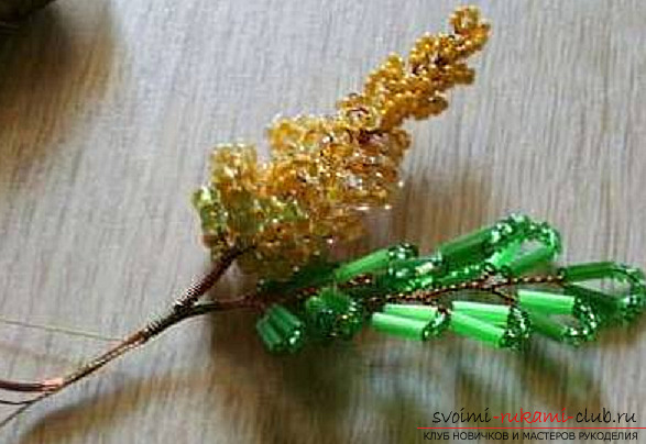 Acacia made from beads. Photo Number 22