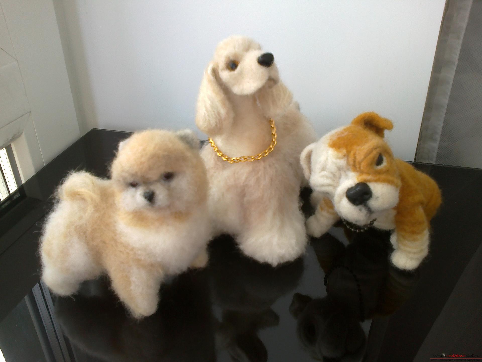 Description of toys in the form of puppies of popular breeds, made in the technique of dry felting. Picture №3