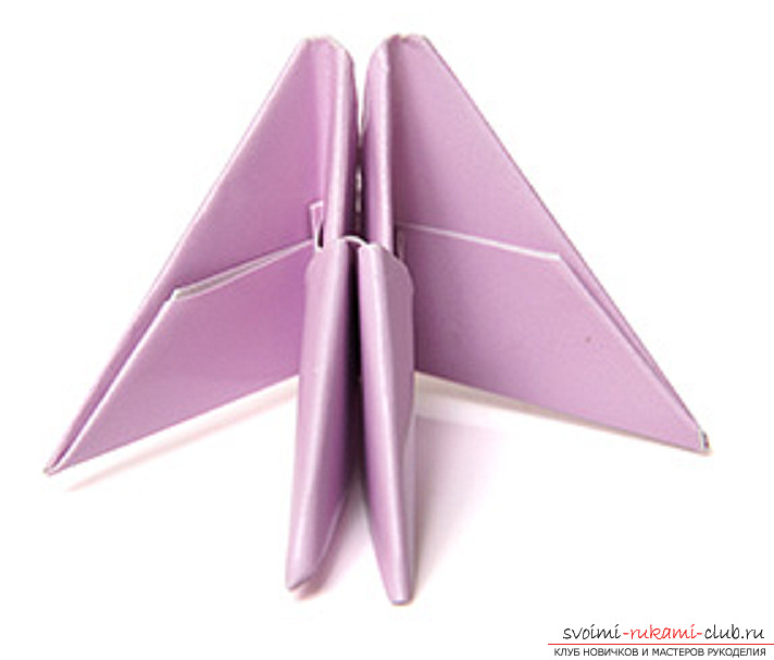 modular origami swan. Photo №13