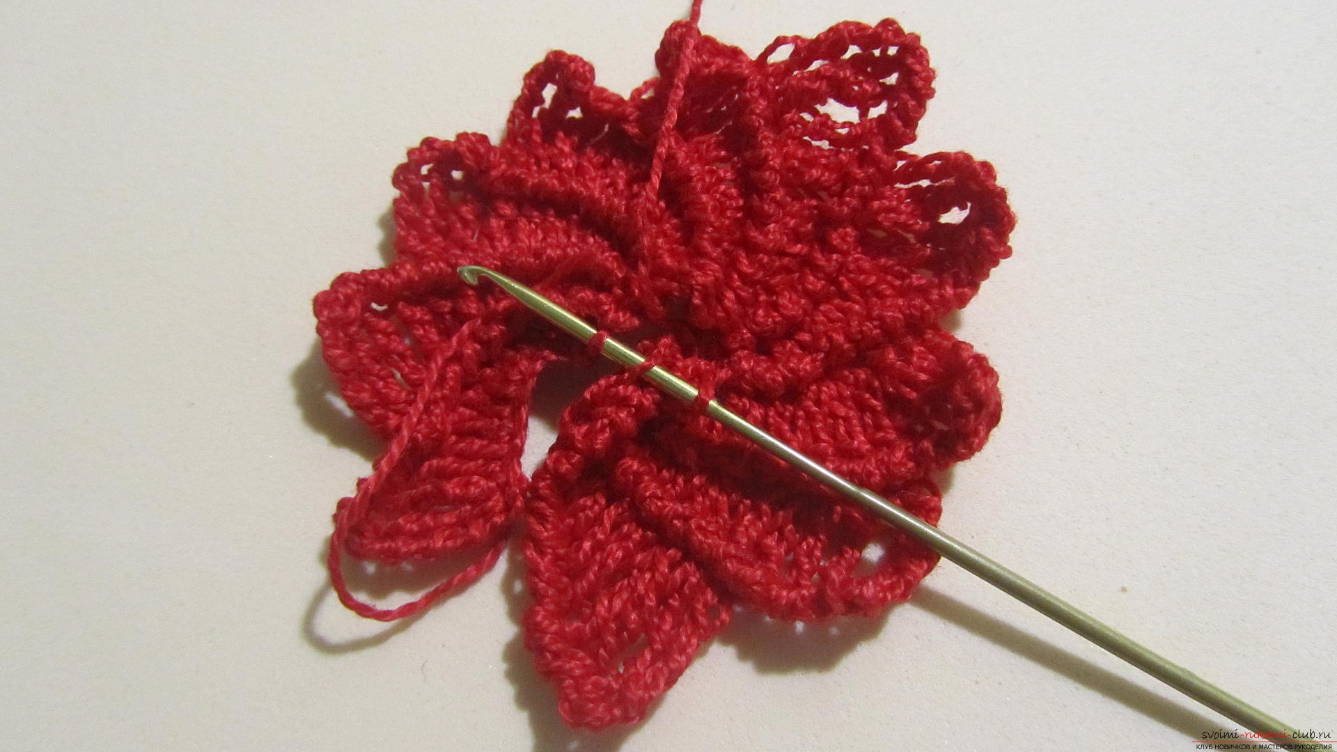 This article will give a lesson on how to crochet the flowers of the Poissentia, a master class with photographs. Photo number 15