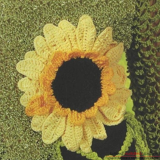 Free schemes and description of crochet flower sunflower, photo of the finished product. Photo №1