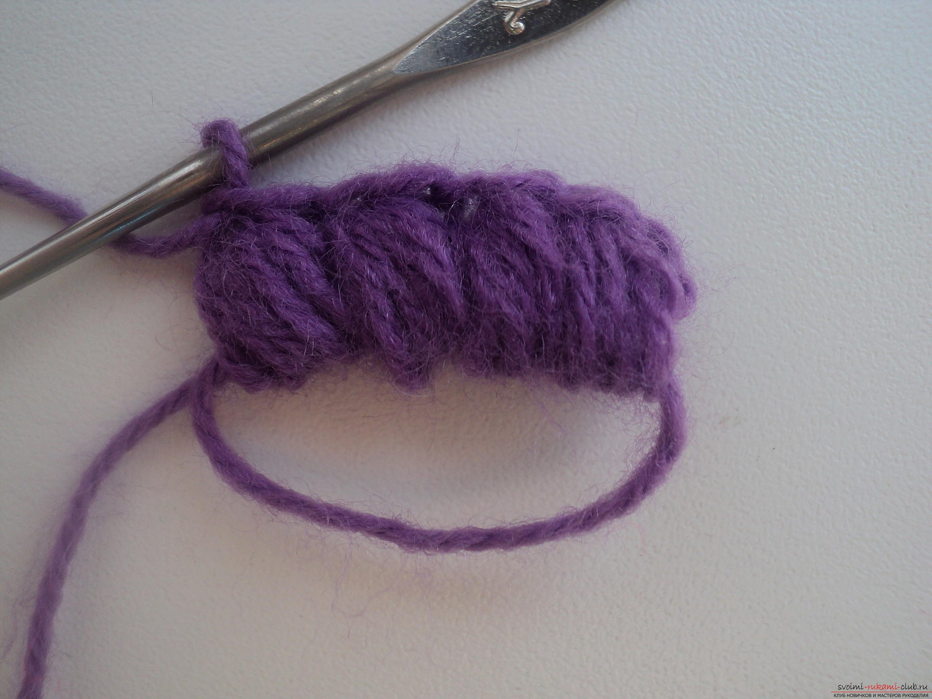 This detailed master class contains a crochet lesson and will teach you how to bind berries by yourself. Photo # 4