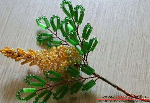 Acacia made from beads. Photo # 23