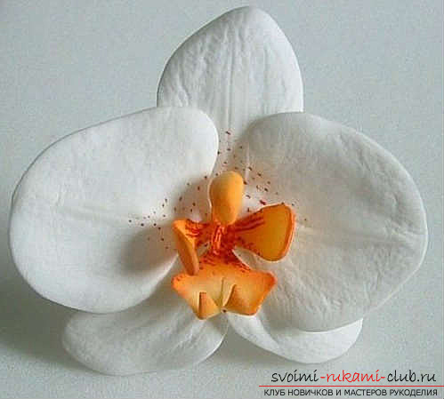 flowers from polymer clay, with their own hands. Photo # 24