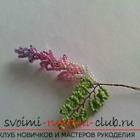 Free master classes on creating wisteria from beads, tips and advice on making blossoming brushes and decorating the trunk. step-by-step photos .. Picture №17