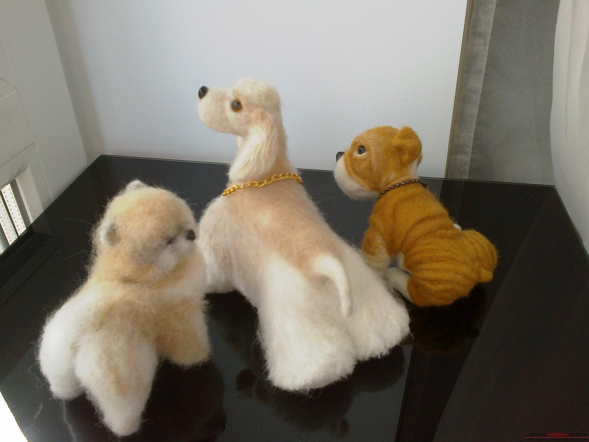 Description of toys in the form of puppies of popular breeds, made in the technique of dry felting. Photo №5