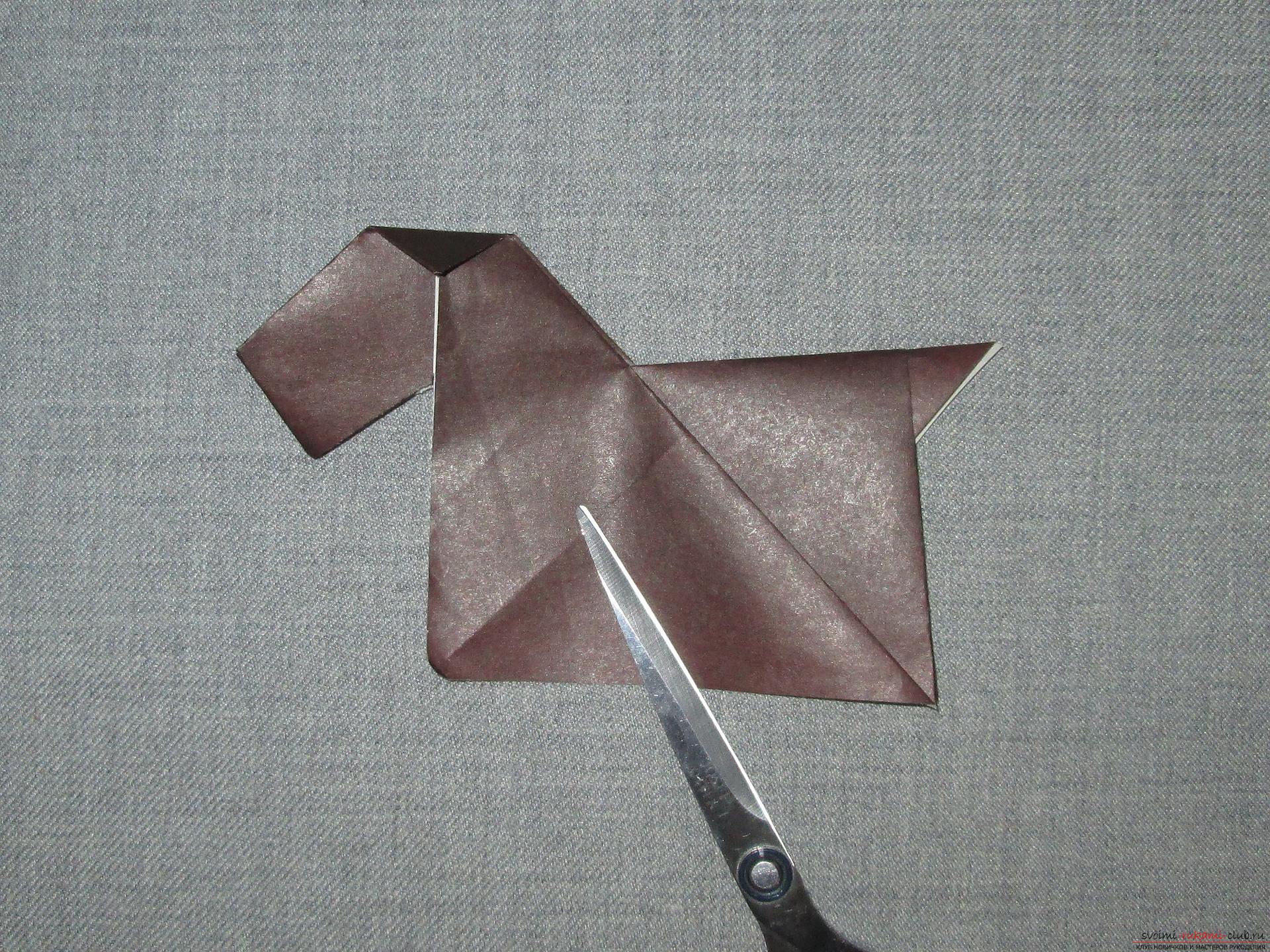 This detailed master class with photo and description will teach you how to make origami for beginners - origami dog from paper .. Photo # 14