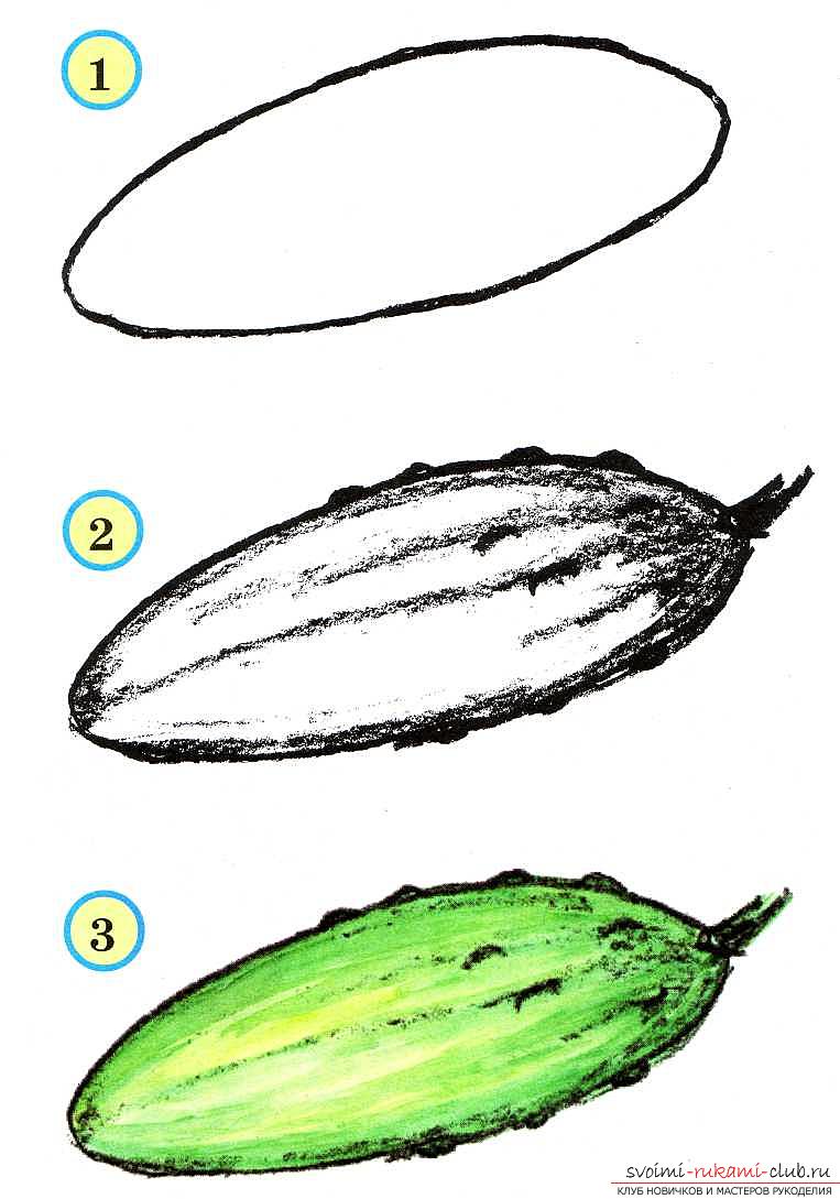 Traditional drawing of vegetables and fruits in the senior group. Picture №3