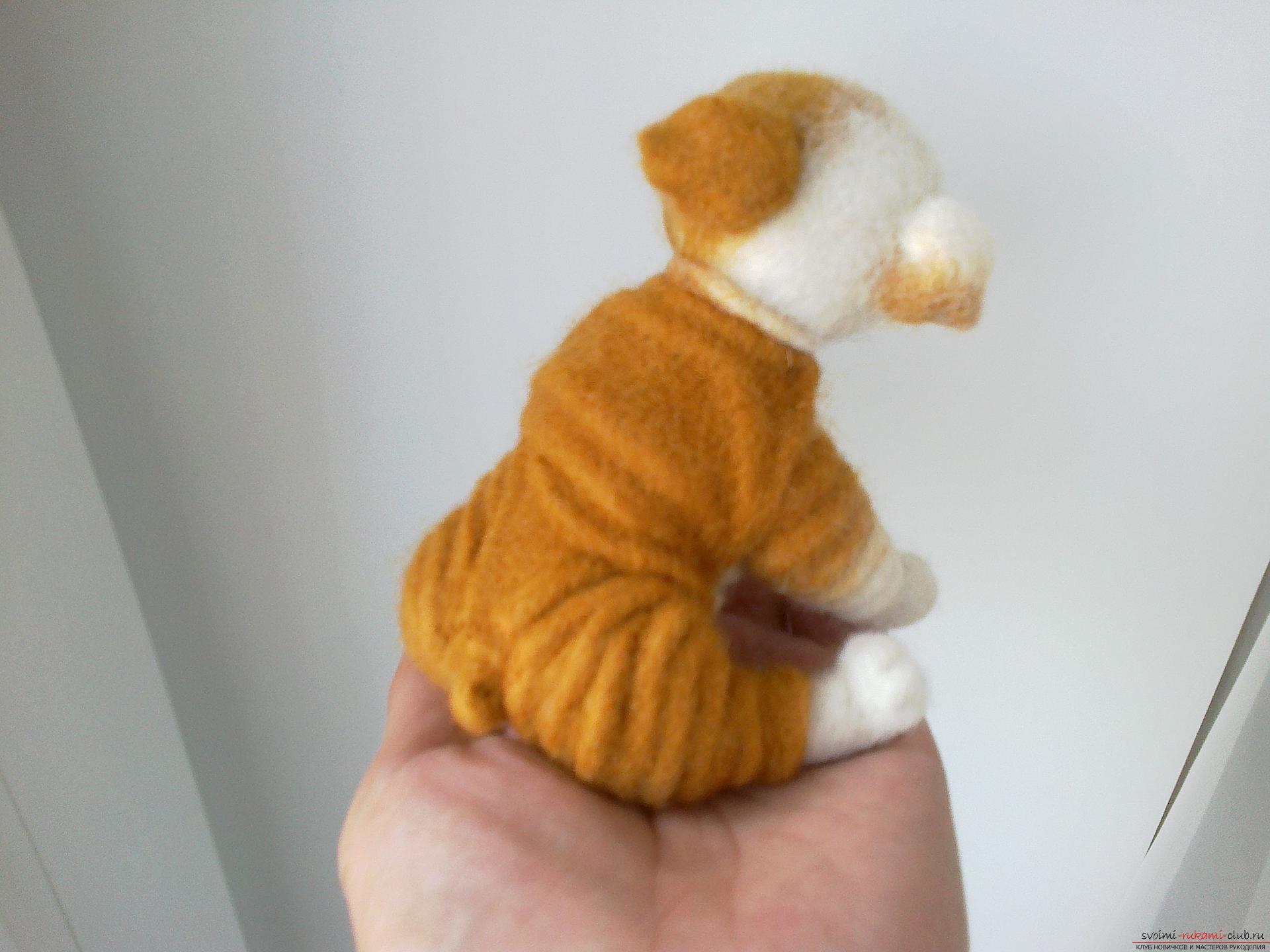 Master class on felting English Bulldog toys made of wool as a gift. Picture №3