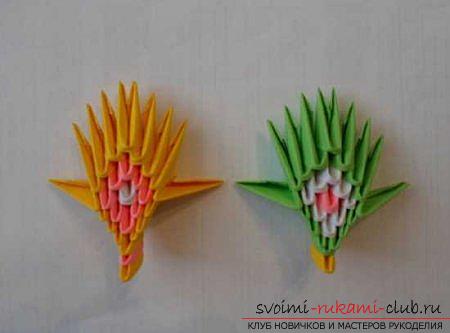 Origami peacock own hands: a diagram and description. Photo №7