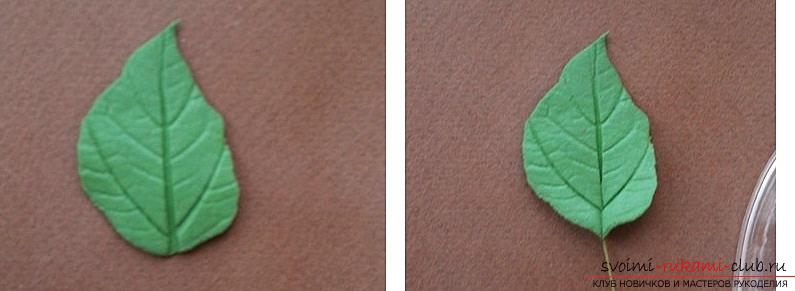 How to mold a rose from polymer clay, a master class with a detailed description and a photo .. Photo # 7