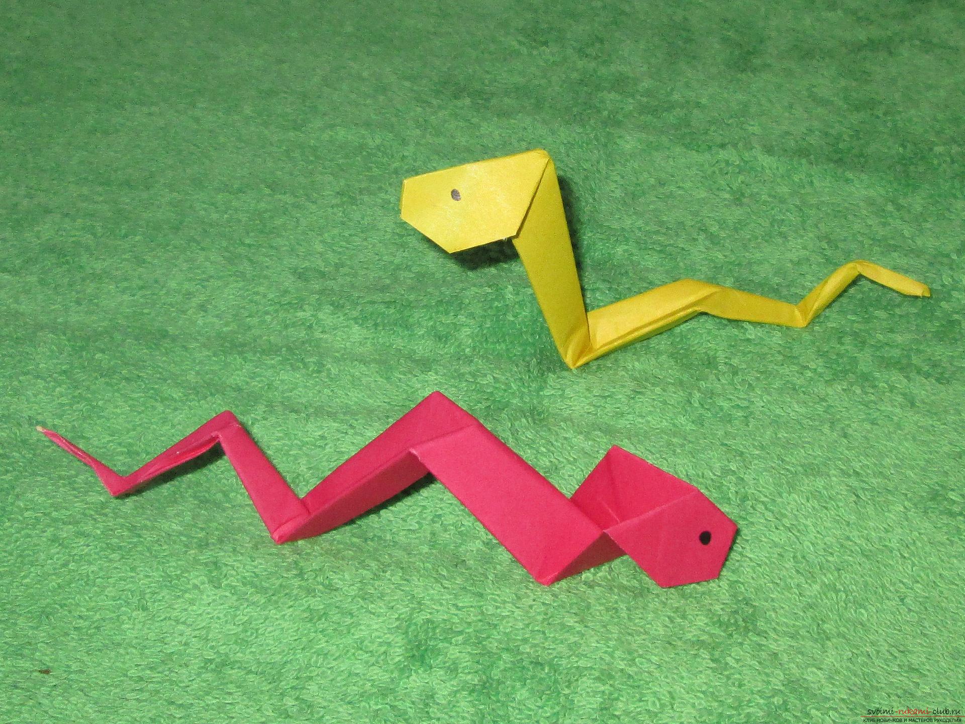 Deze gedetailleerde masterclass origami voor kinderen van 8 jaar leert hoe je een origami slang van papier maakt .. Foto # 16