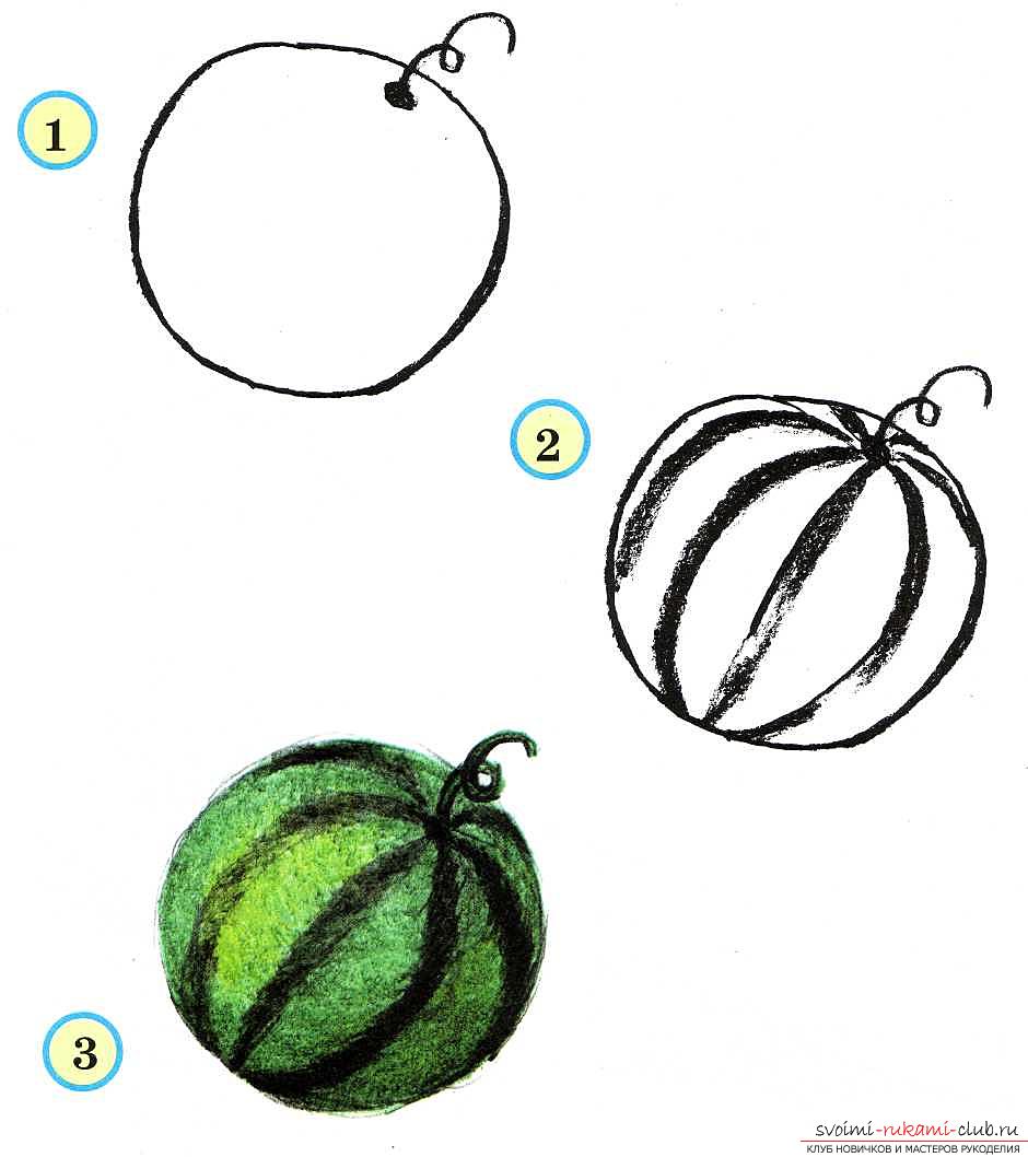 Traditional drawing of vegetables and fruits in the senior group. Photo №1