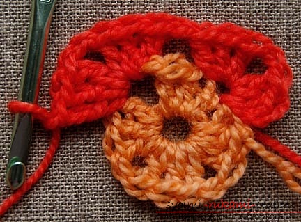 Crochet crochet for beginners. Photo №5