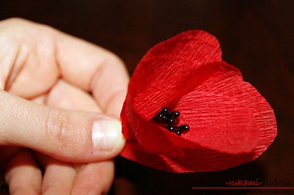 way to make paper scarlet poppies with your own hands. Photo №5