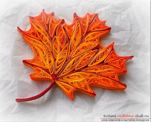 How to make a maple leaf by yourself? Quilling and master classes. Photo №1