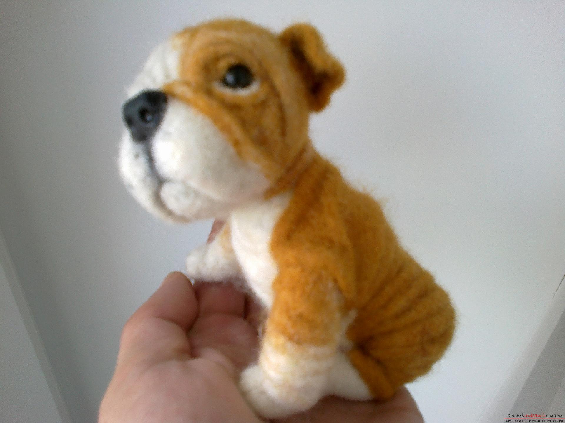 Master class on felting English Bulldog toys made of wool as a gift. Photo №6