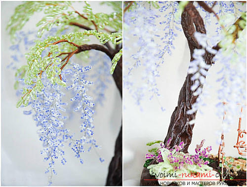 Free master classes on creating wisteria from beads, tips and advice on making blossoming brushes and decorating the trunk. step-by-step photos .. Photo # 6
