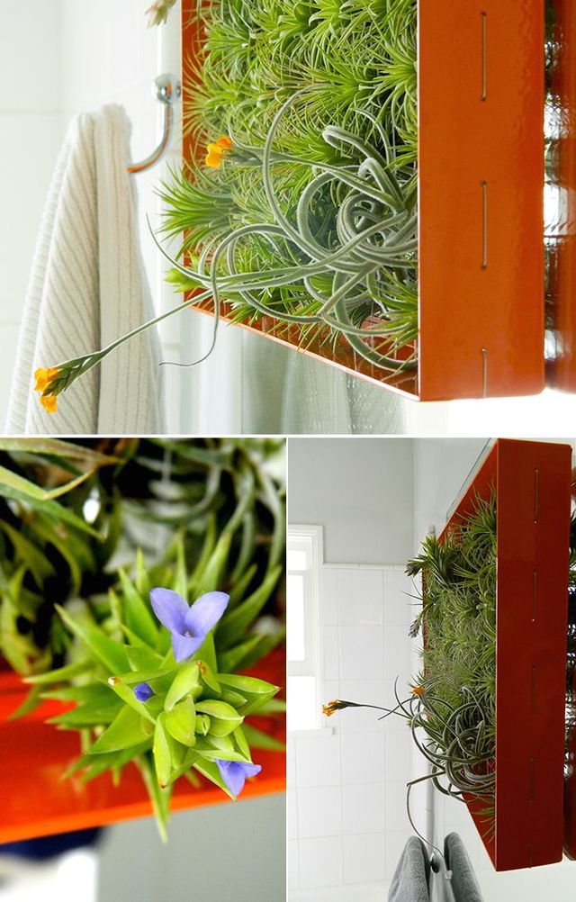 vertical landscaping of the interior
