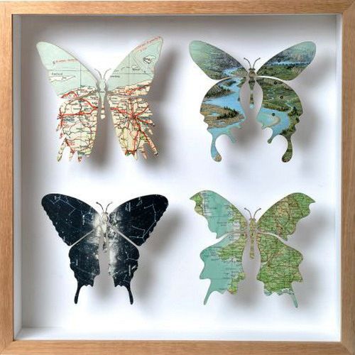 butterflies from geographical maps