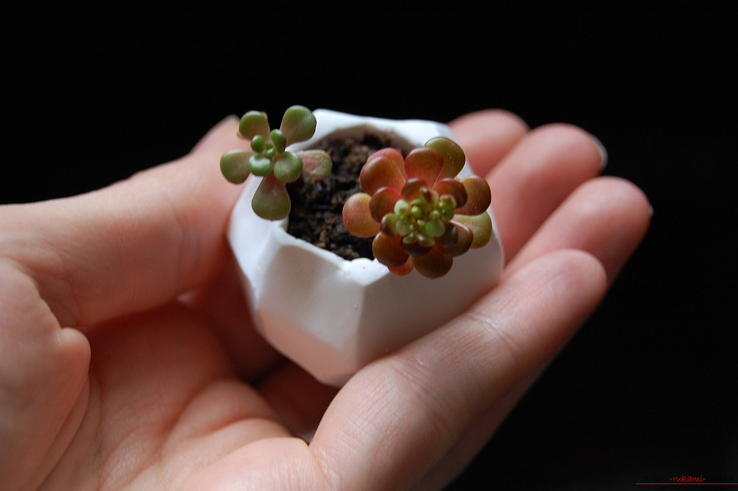 Master-class on the production of miniature flower pots made of polymer clay with their own hands .. Photo №1