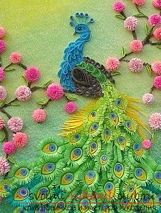 A colorful peacock and quilling technique for birds - a master class with their own hands. Photo №1