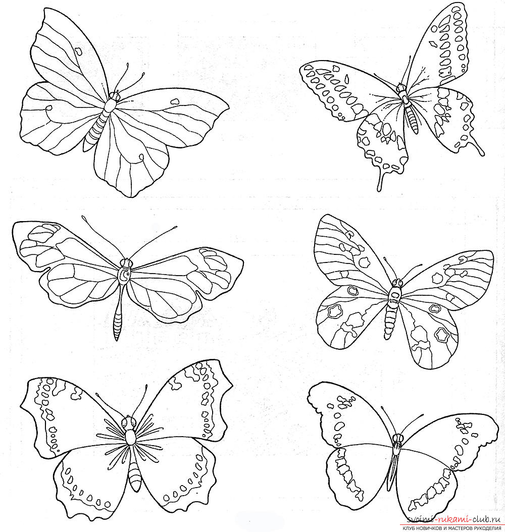 diagramă opțiune fluture)
