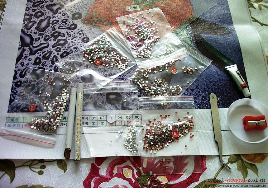 Schemes of work in the technique of diamond embroidery. Photo # 2