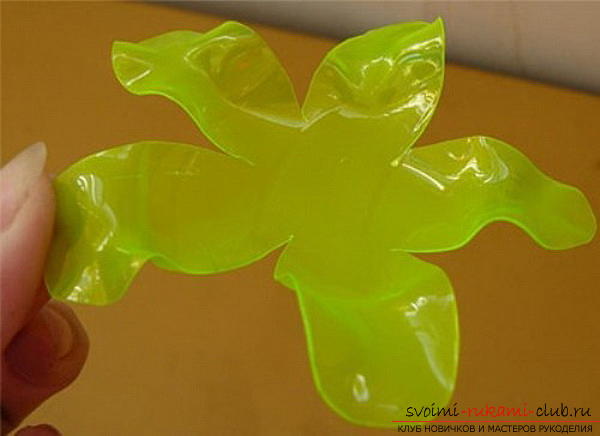 Free master classes on creating flowers from plastic bottles .. Photo # 9