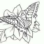 Free coloring pages for preschoolers 