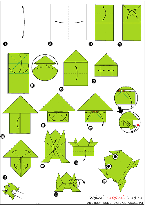 How to make an origami-frog made of paper. Lesson and photos for free .. Picture number 2