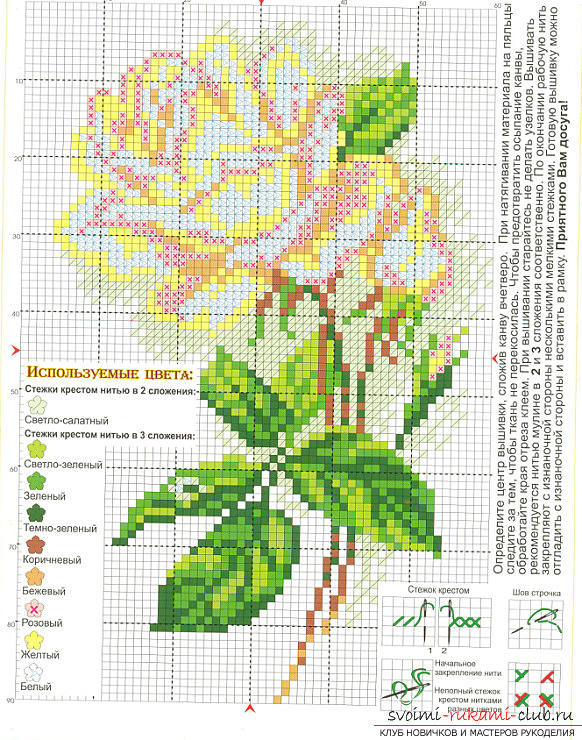 Schemes of embroidery of tea roses. Picture №3