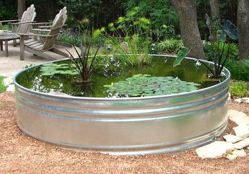 DIY pond from a barrel