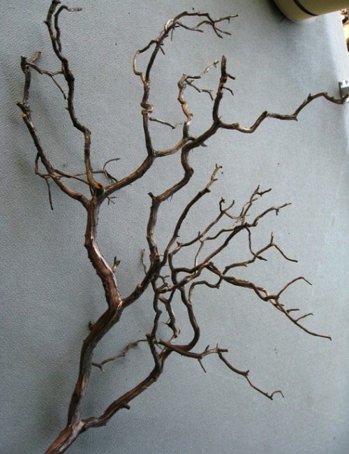 branch-decor-wall-05