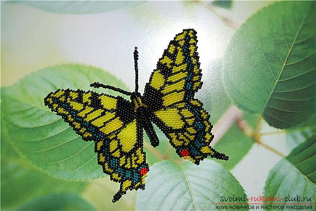 How to weave butterfly beads with their own hands - lessons for beginning masters and children. Photo №1