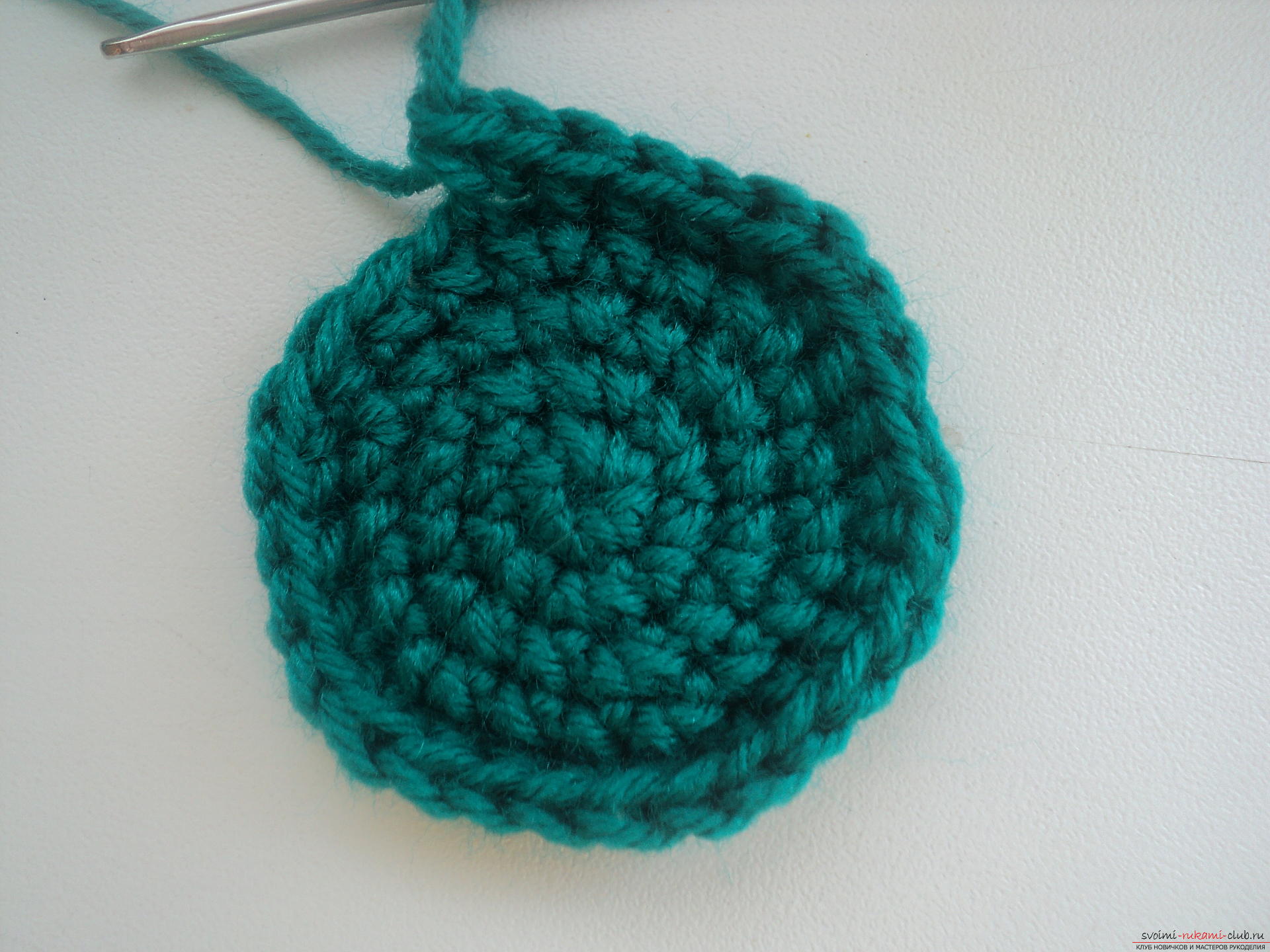 This detailed master class contains a crochet lesson and will teach you how to bind berries by yourself. Photo # 10