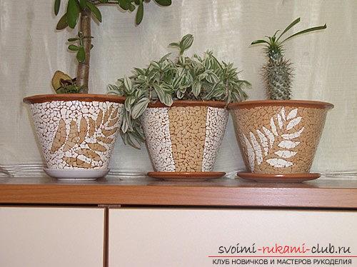 Recommendations for decorating flower pots with their own hands, different styles and techniques of decor .. Photo №6