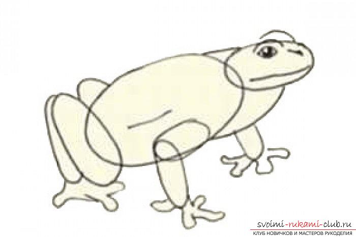 Children's drawings, the image of a frog. Photo №4