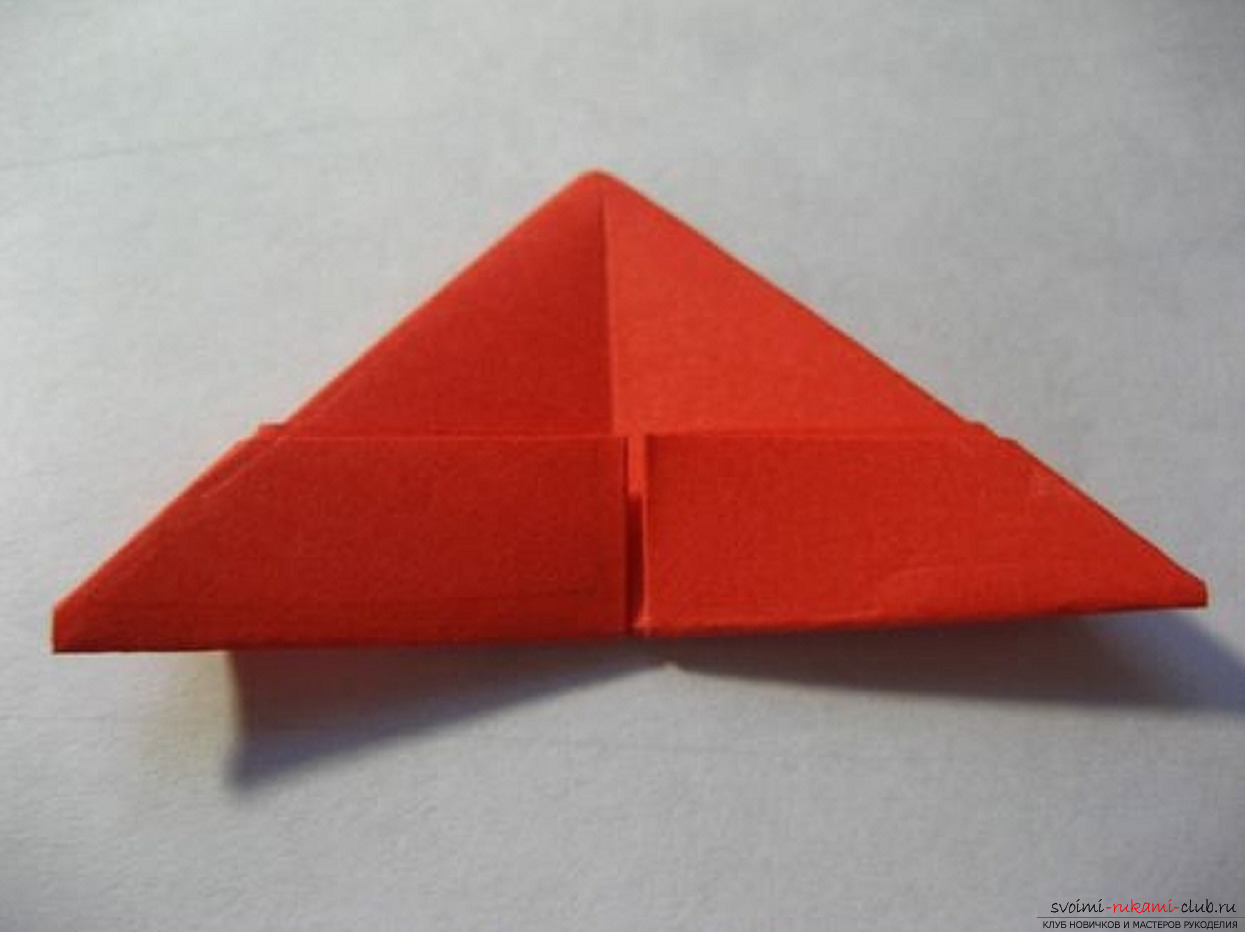 modular origami chamomile. Picture №30