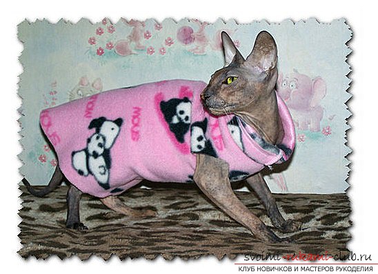 Sweater for a cat and a pattern from old clothes for a beginner. Picture №3