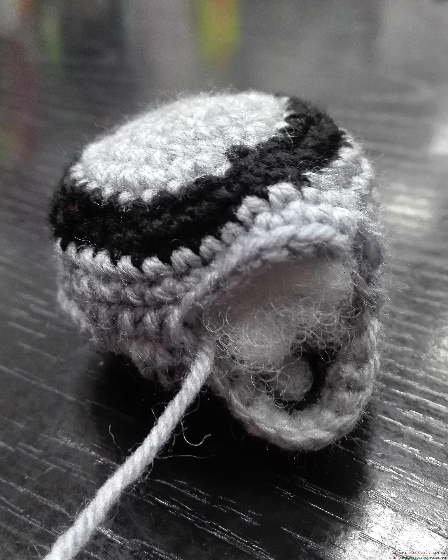 This master class will teach crochet crochet toys, you will be able to create a crochet cat. Photo # 27