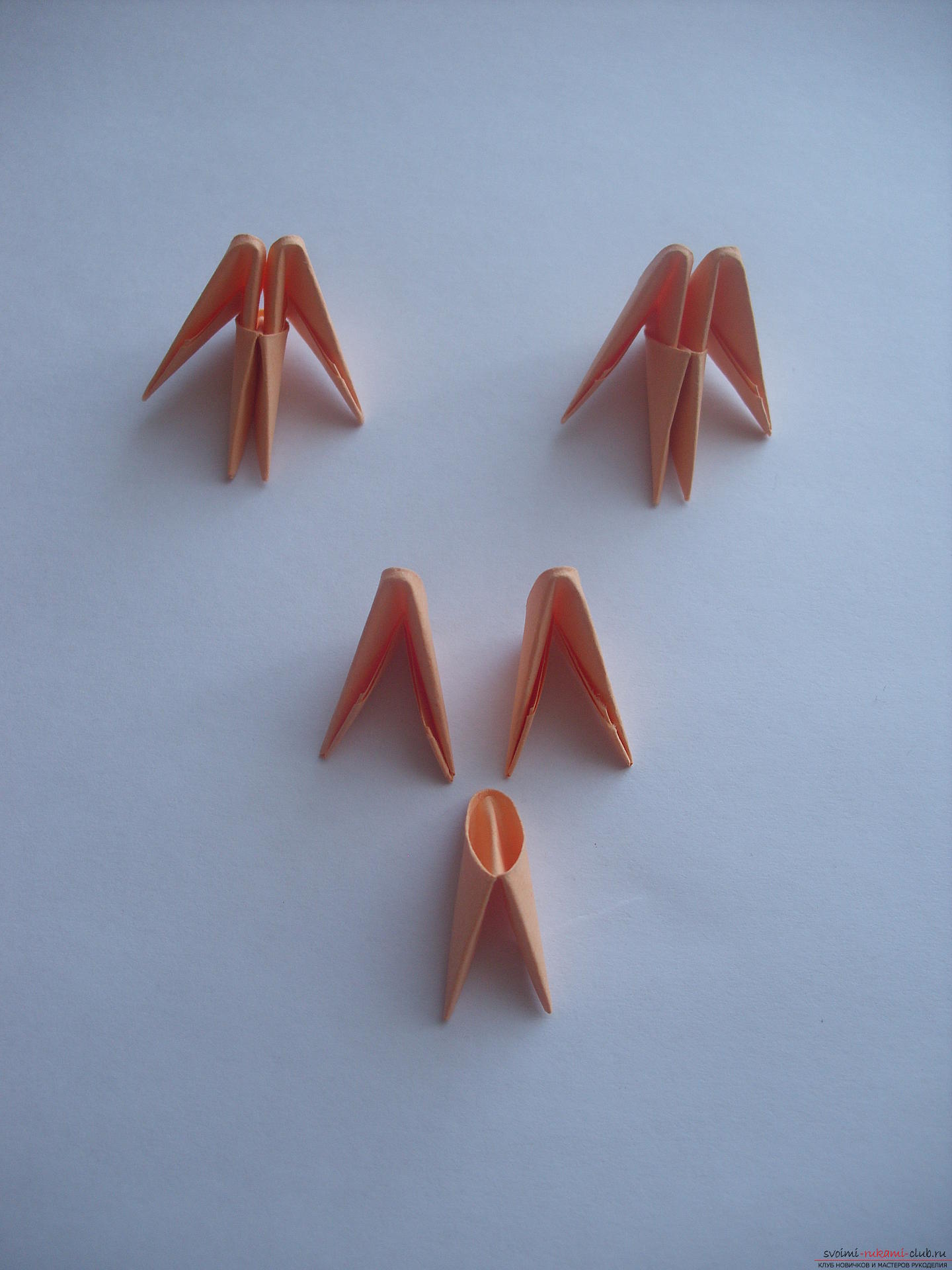 Този майсторски клас ще ви научи как да направите виолетово във ваза в техниката на модулния оригами .. Снимка # 3