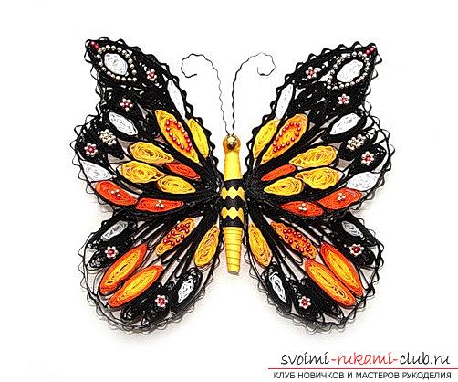 Quilling butterflies - loop quilling and master class with their own hands. Photo №5